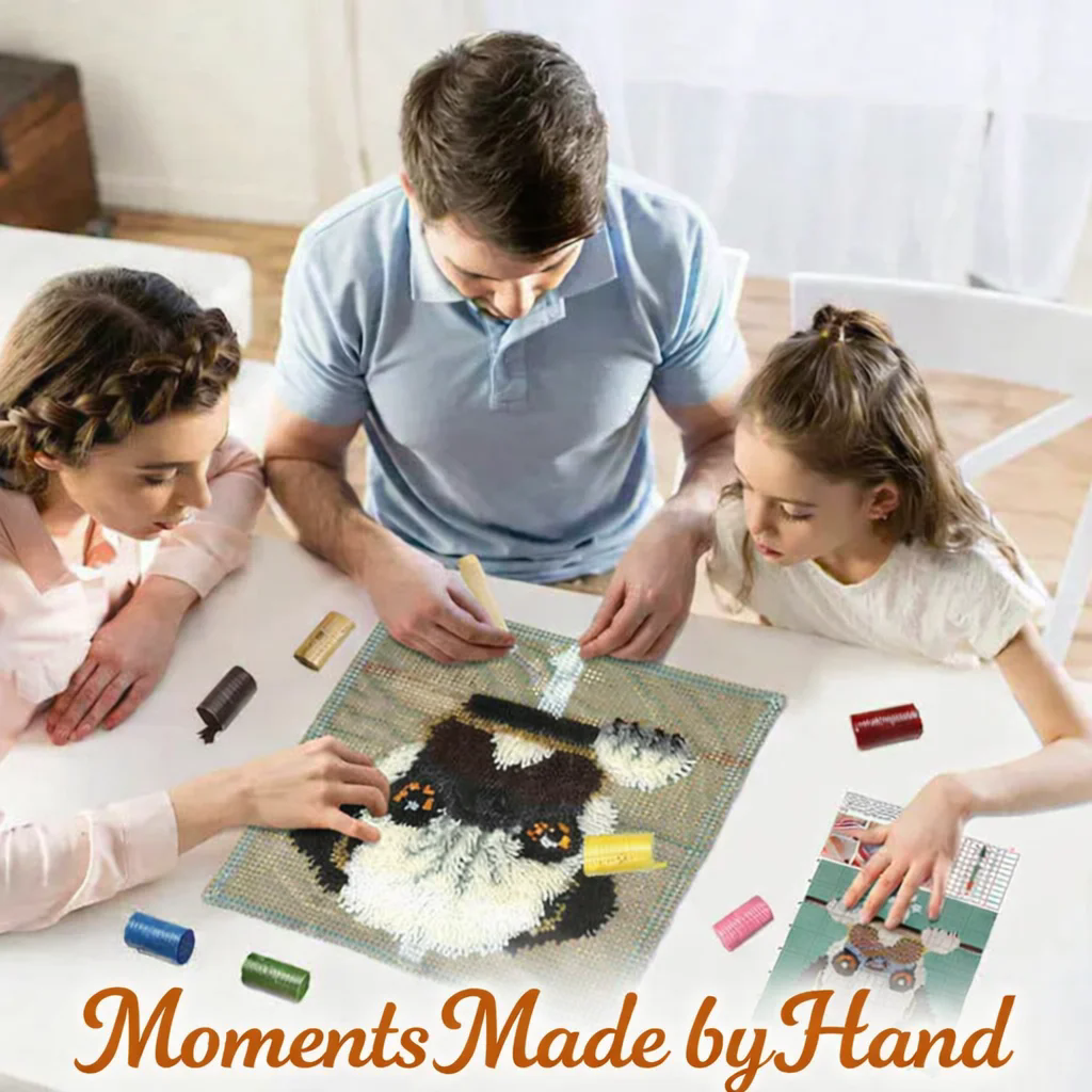 latch hook kits pillow Cushion - Printed Embroidery Kit recension och pris