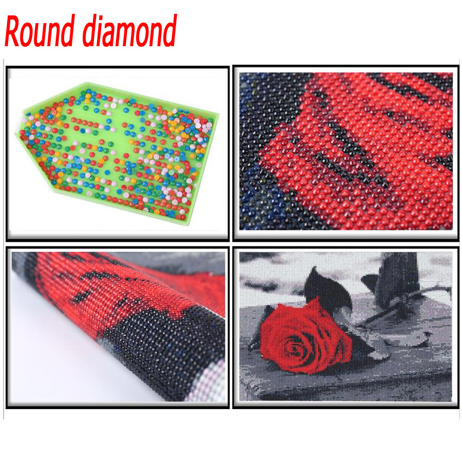 5D round square diamond embroi - Embroidery In Egypt recension och pris