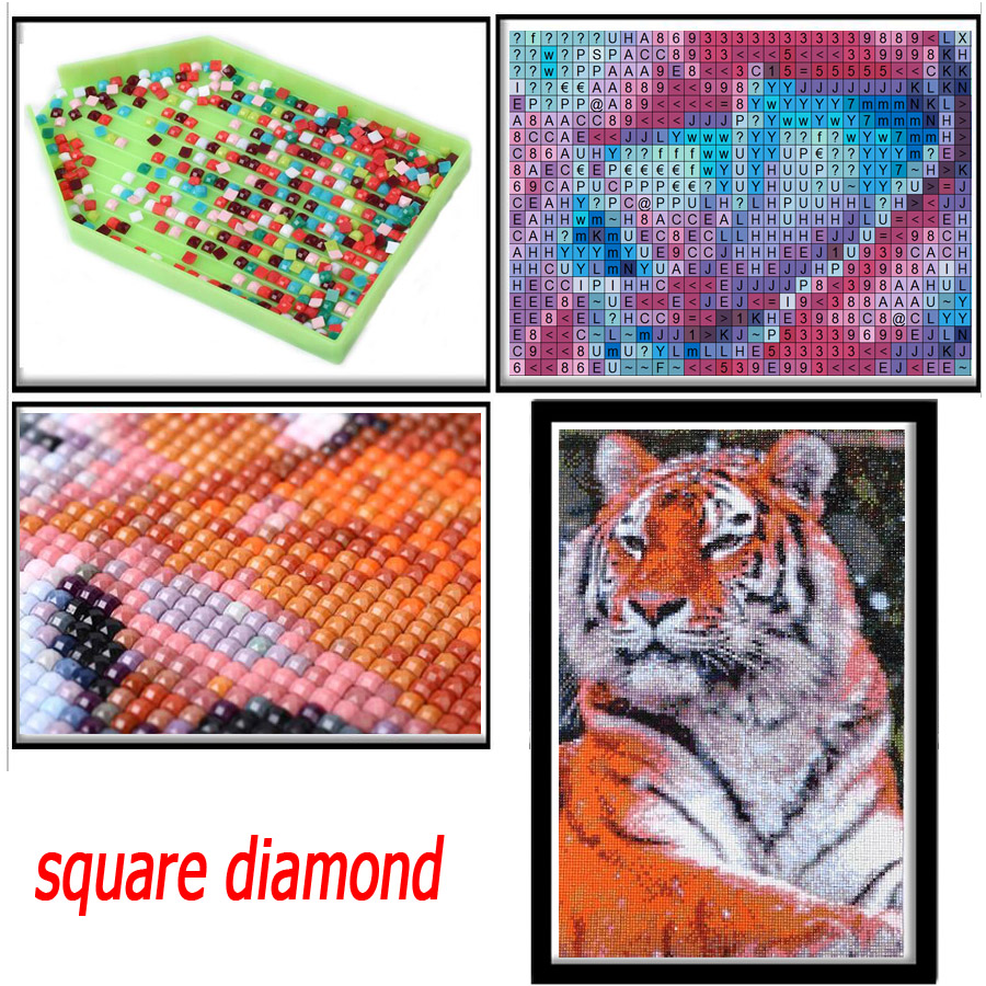 5D round square diamond embroi - Embroidery In Egypt recension och pris
