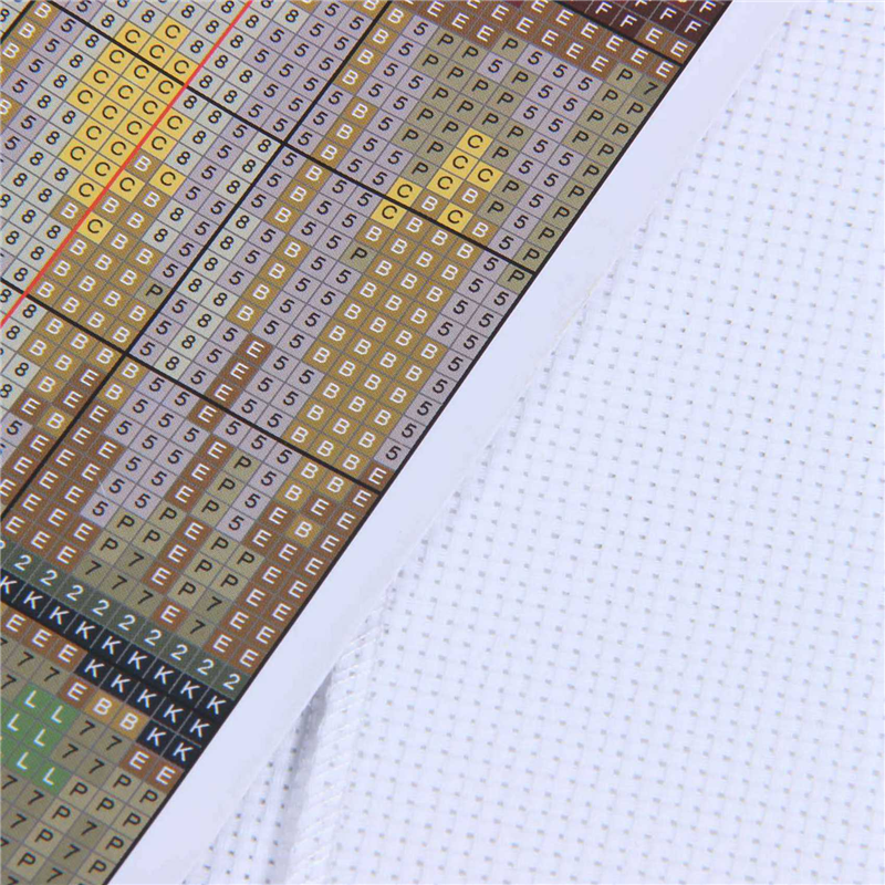 2X DIY Handmade Needlework Cro - Embroidery X Pattern recension och pris
